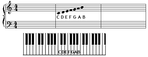 0 (1).webp (2).jpg