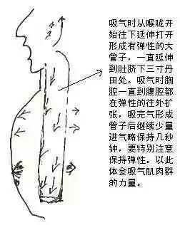 111.jpg