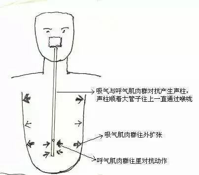555.jpg